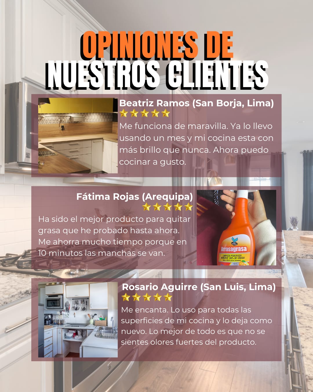 ARRASA GRASA 650 ML LIMPIEZA PODEROSA